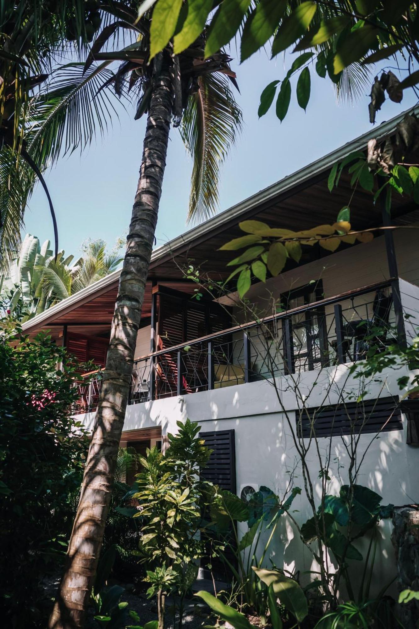 Conga Boutique Hotel Puerto Viejo de Talamanca Exteriér fotografie