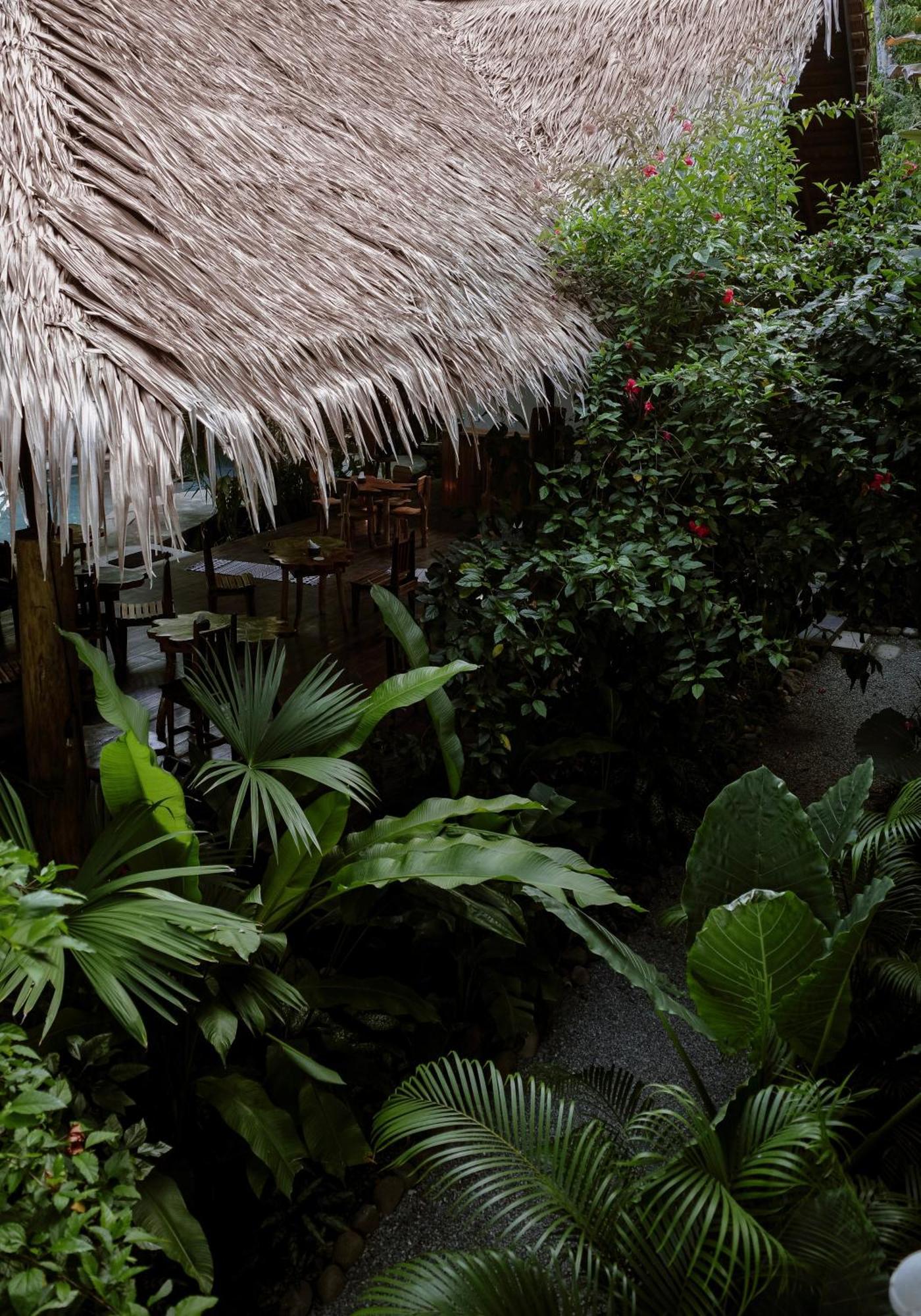 Conga Boutique Hotel Puerto Viejo de Talamanca Exteriér fotografie