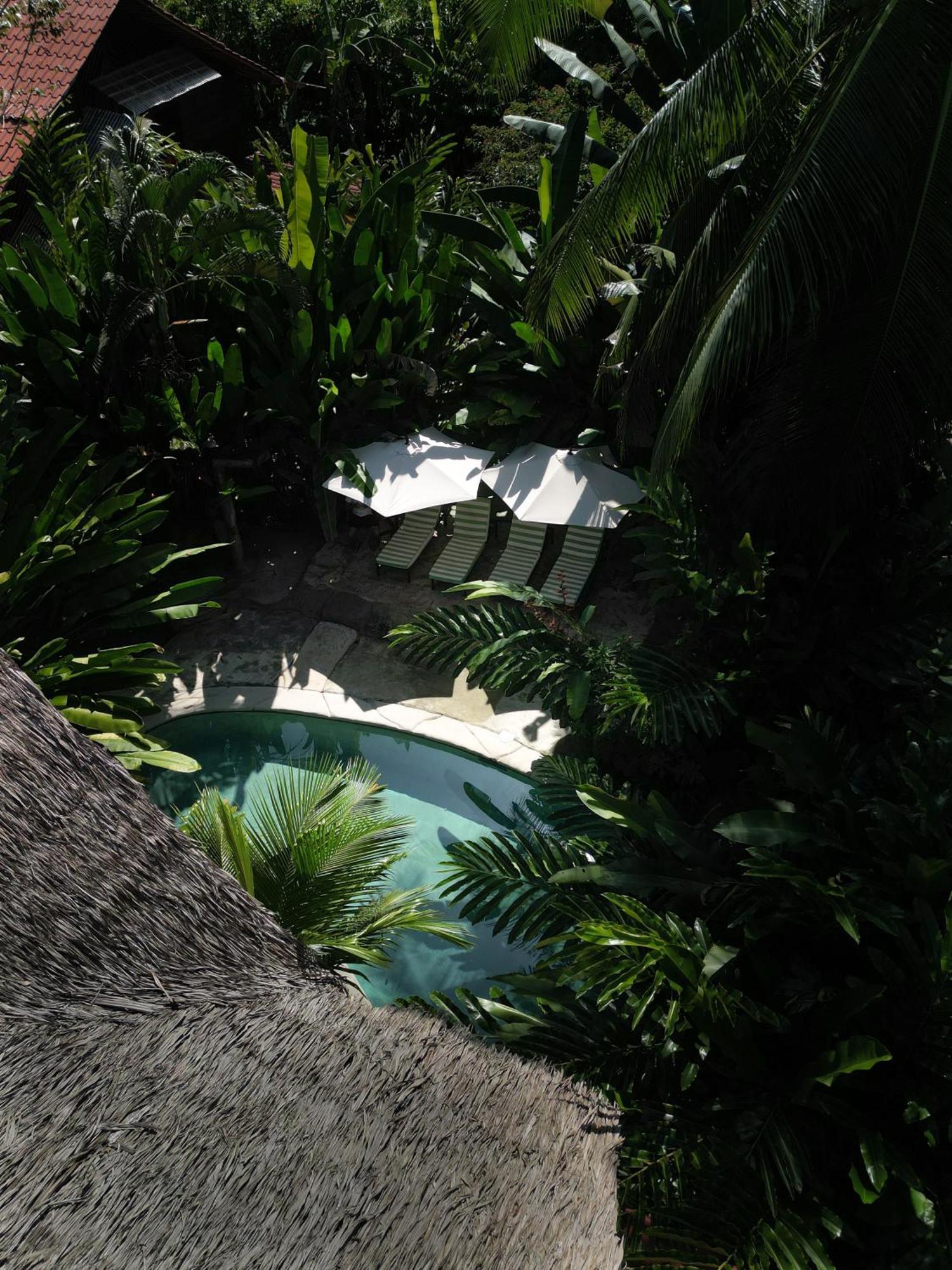 Conga Boutique Hotel Puerto Viejo de Talamanca Exteriér fotografie
